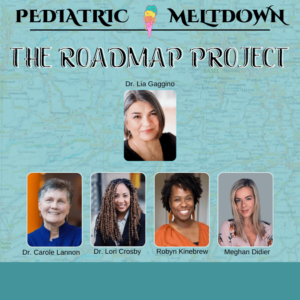 166 Chronic Illness and Mental Health:  The Roadmap Project